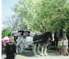 Carriage Ride.jpg (422505 bytes)