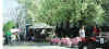 Pig Train Ride.jpg (276594 bytes)