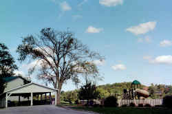 Another Play Area & 1 of Shelter Houses